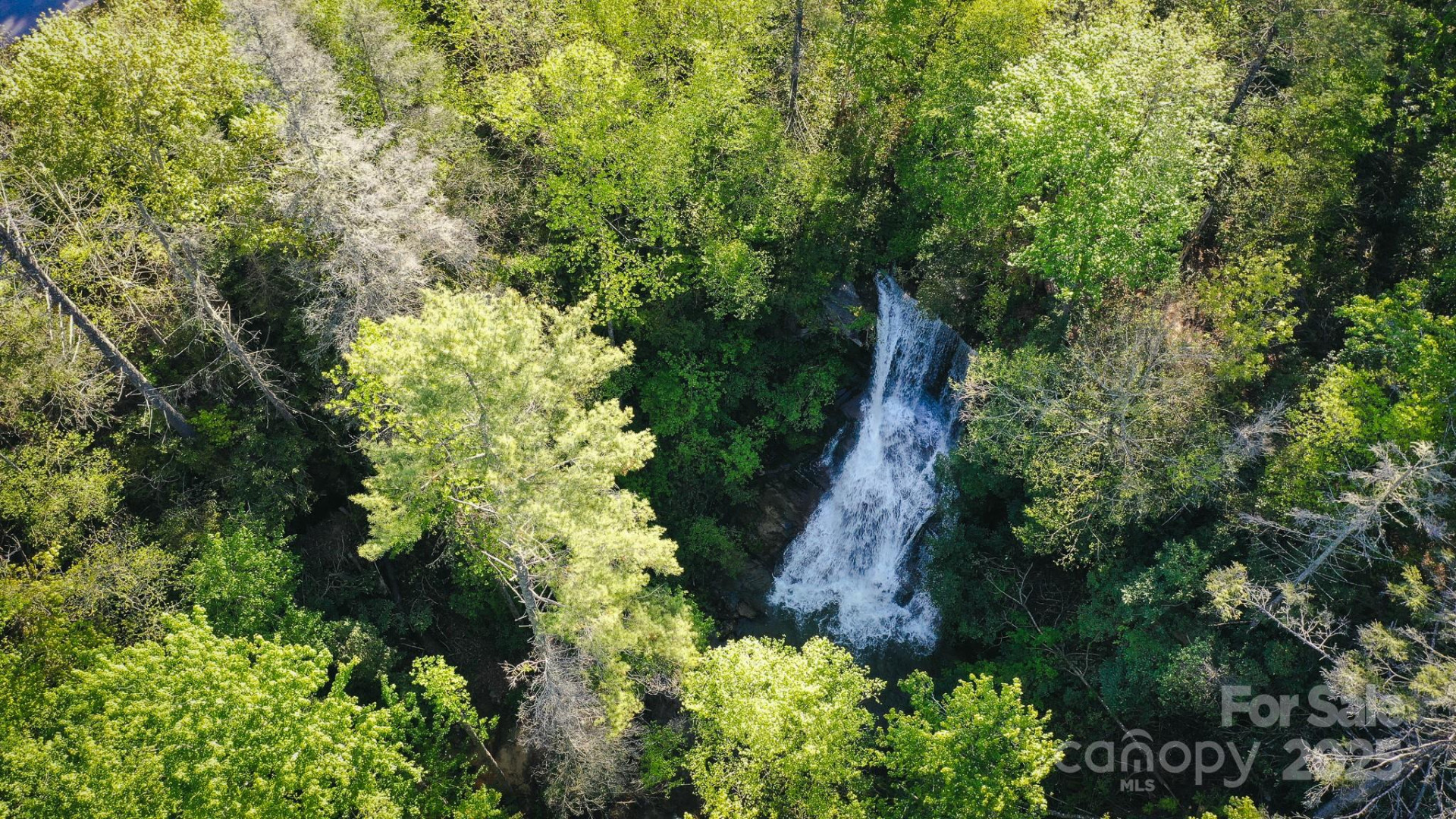 43 Abby Falls Drive #43 - Photo 19