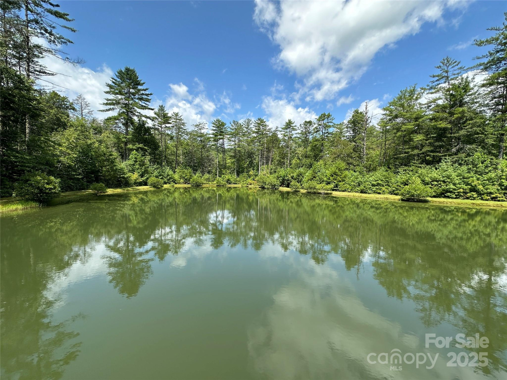 43 Abby Falls Drive #43 - Photo 25