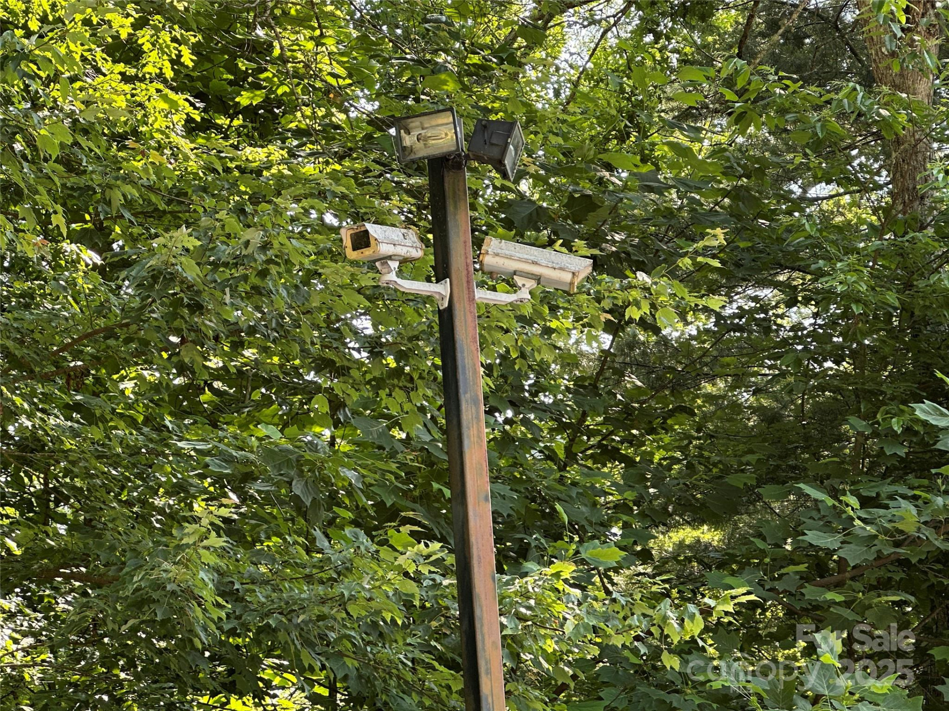 43 Abby Falls Drive #43 - Photo 28