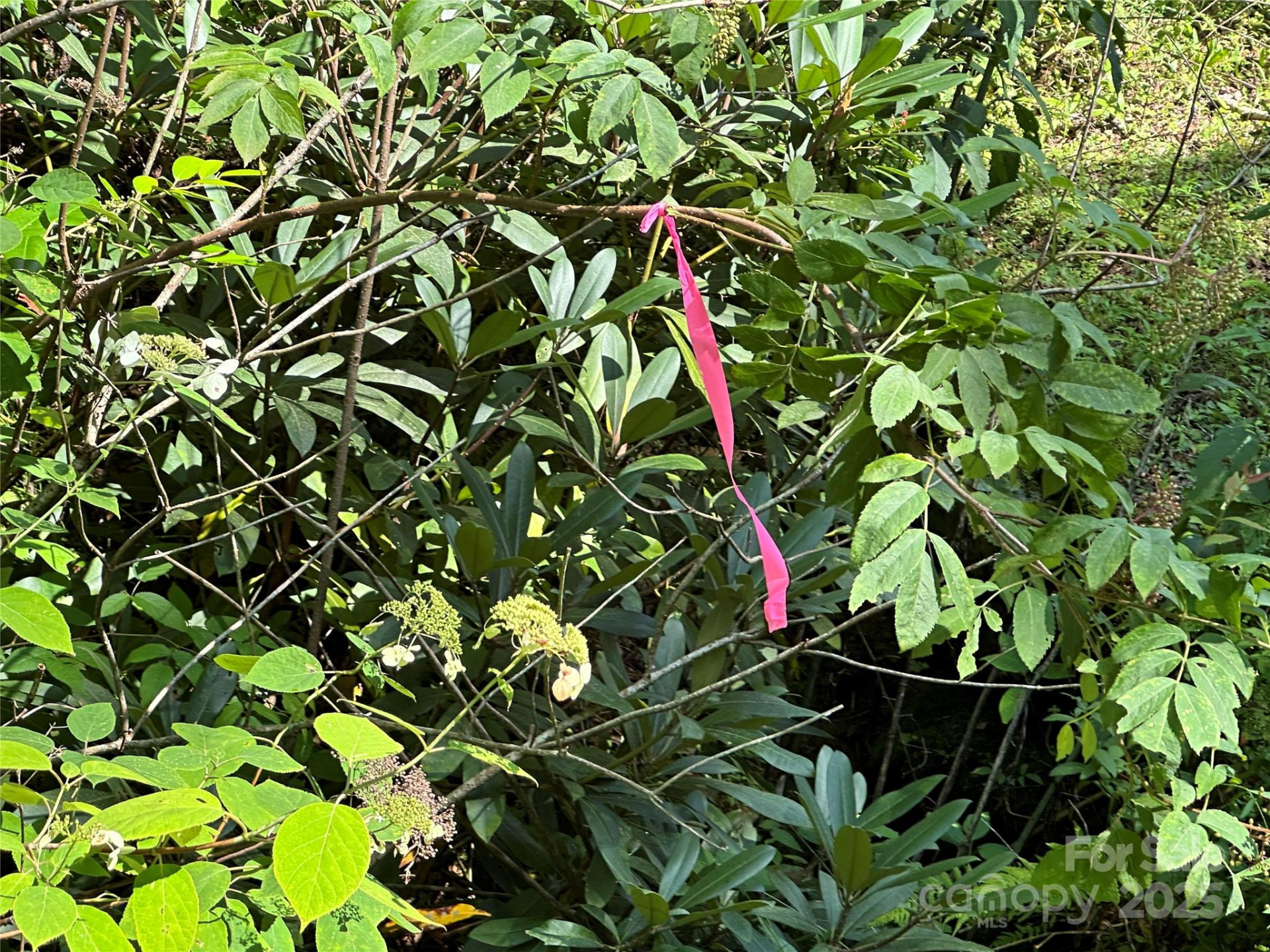 43 Abby Falls Drive #43 - Photo 29