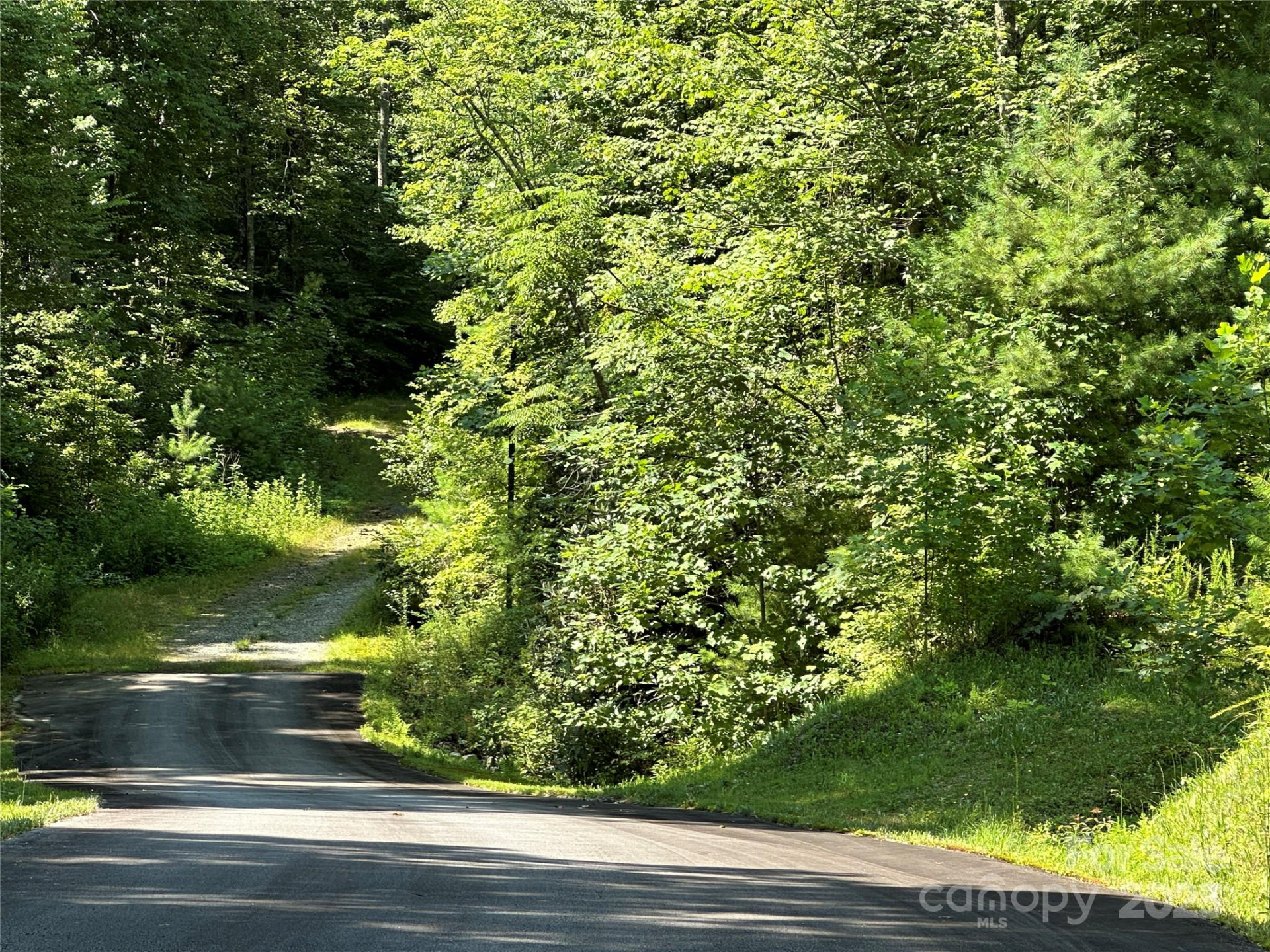 43 Abby Falls Drive #43 - Photo 30