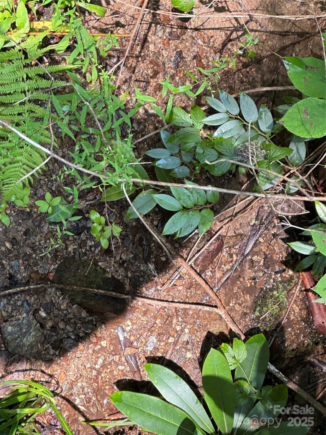 43 Abby Falls Drive #43 - Photo 32