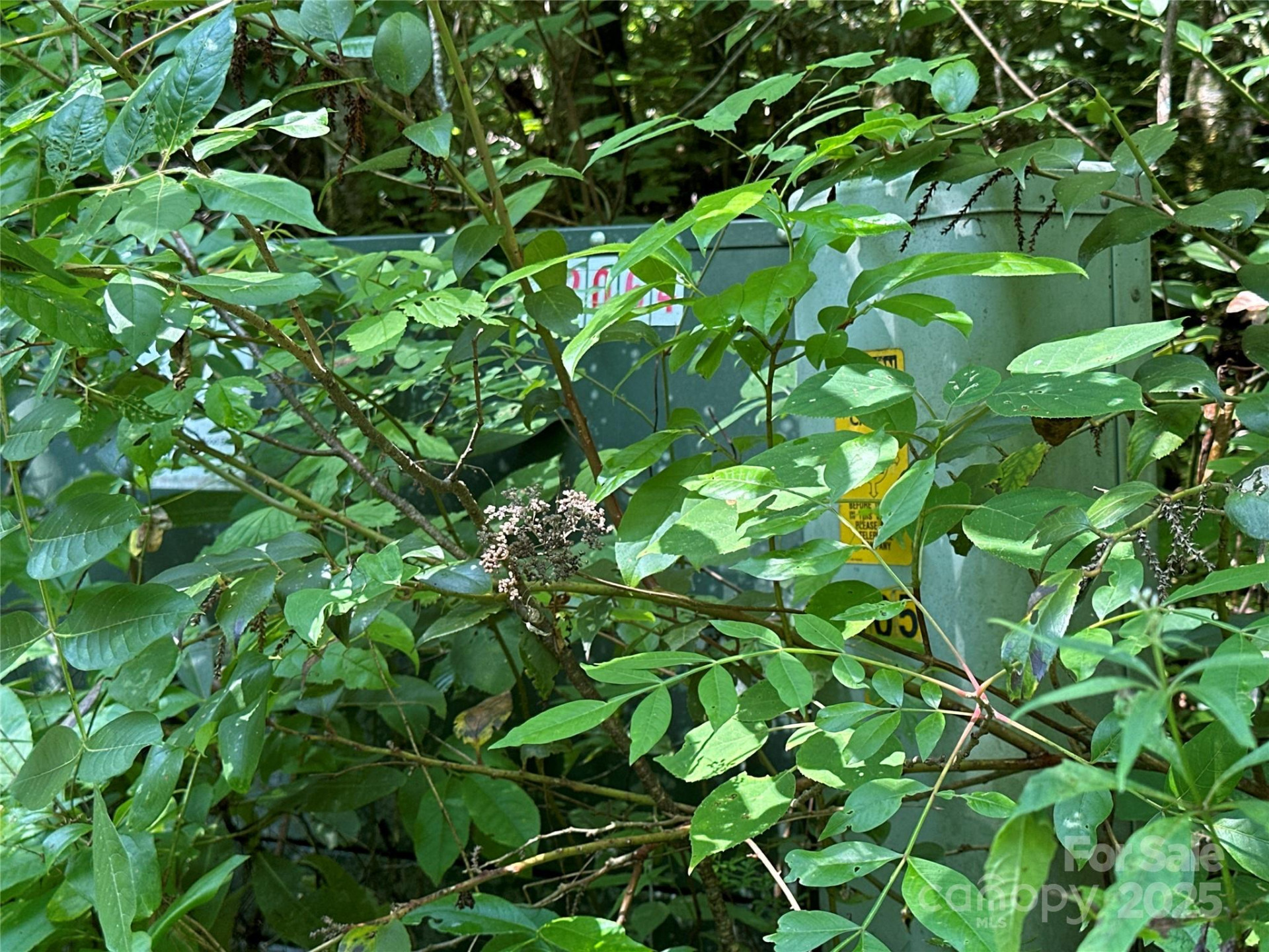 43 Abby Falls Drive #43 - Photo 33