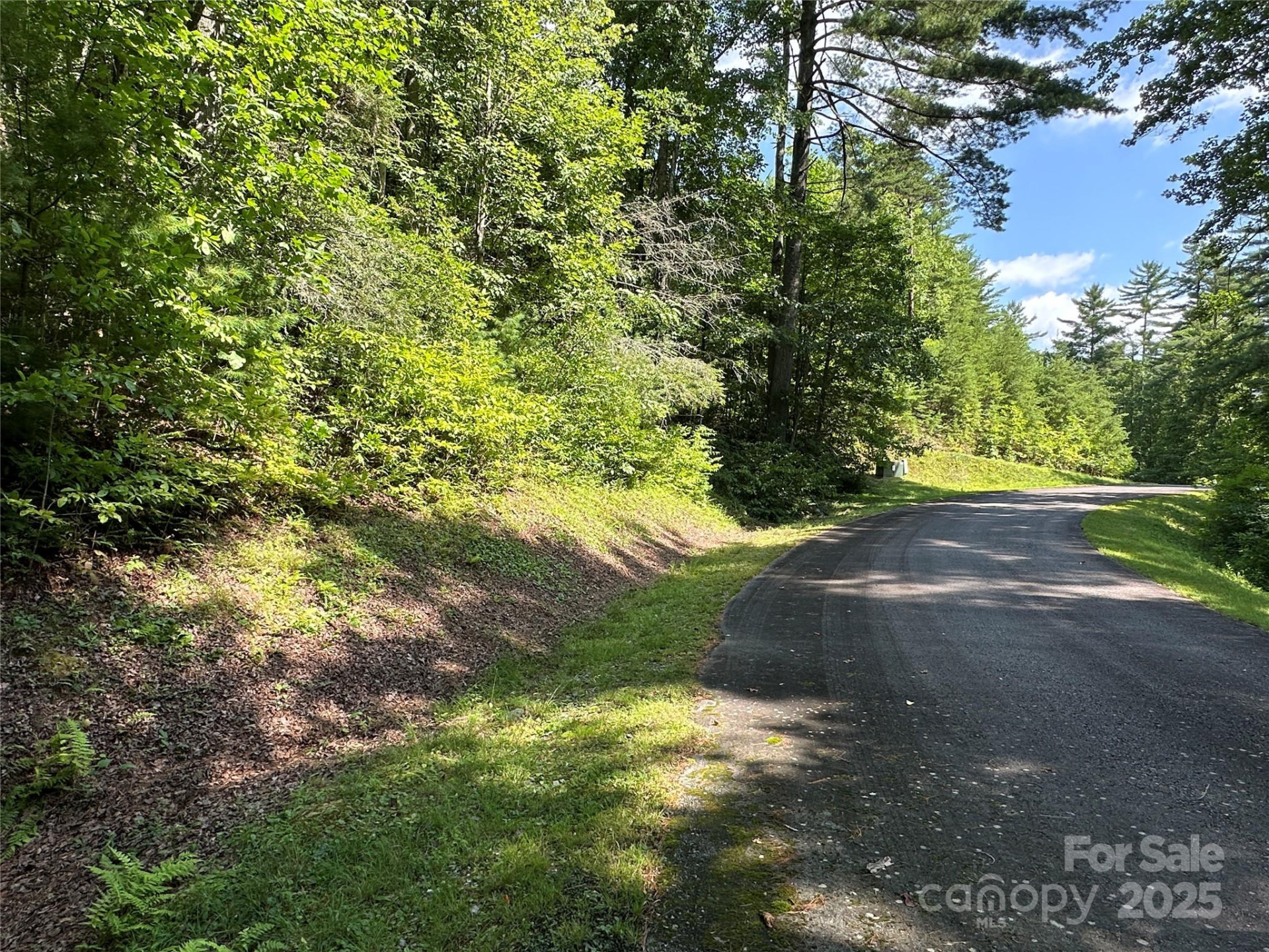 43 Abby Falls Drive #43 - Photo 34