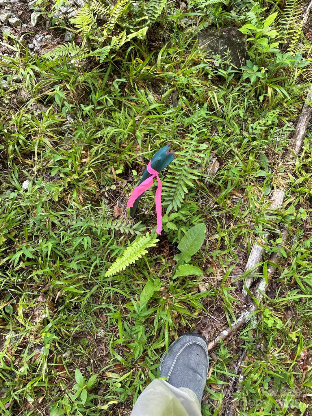 43 Abby Falls Drive #43 - Photo 35