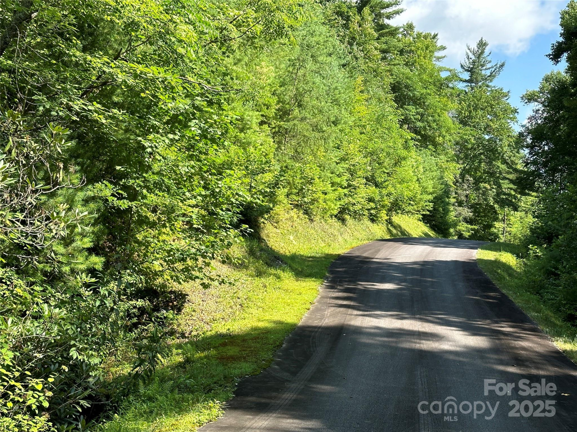 43 Abby Falls Drive #43 - Photo 36