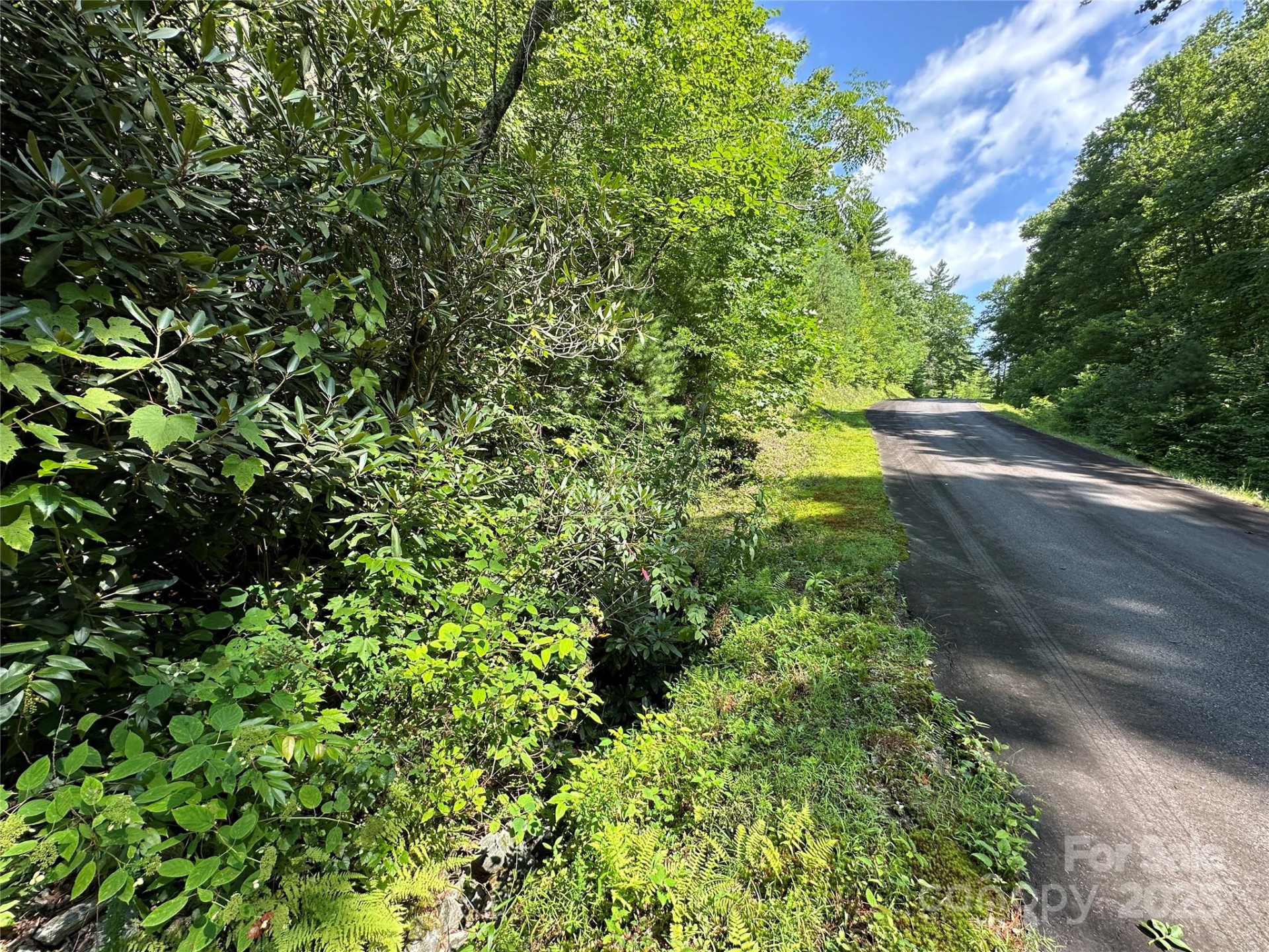 43 Abby Falls Drive #43 - Photo 38