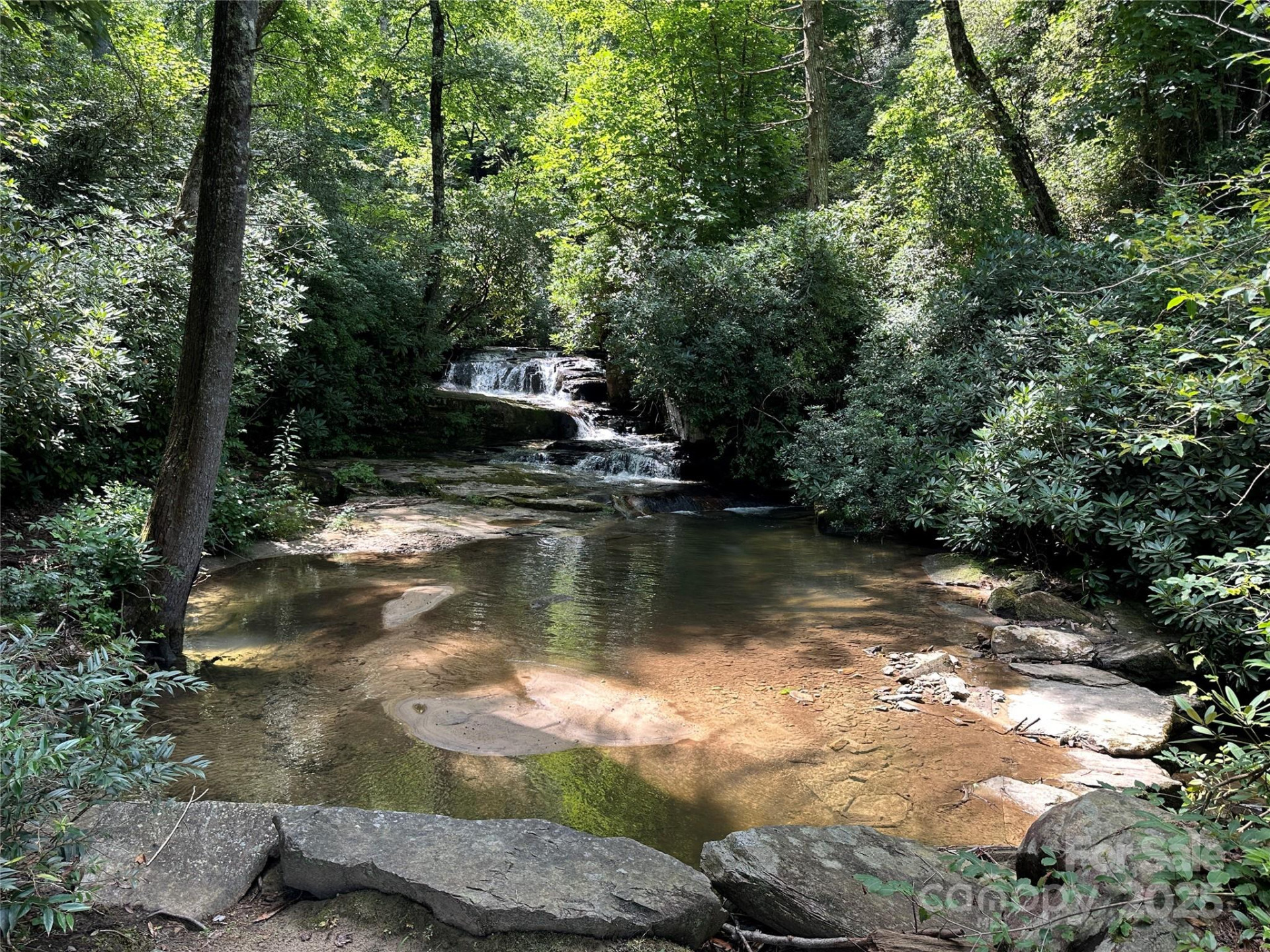 43 Abby Falls Drive #43 - Photo 43