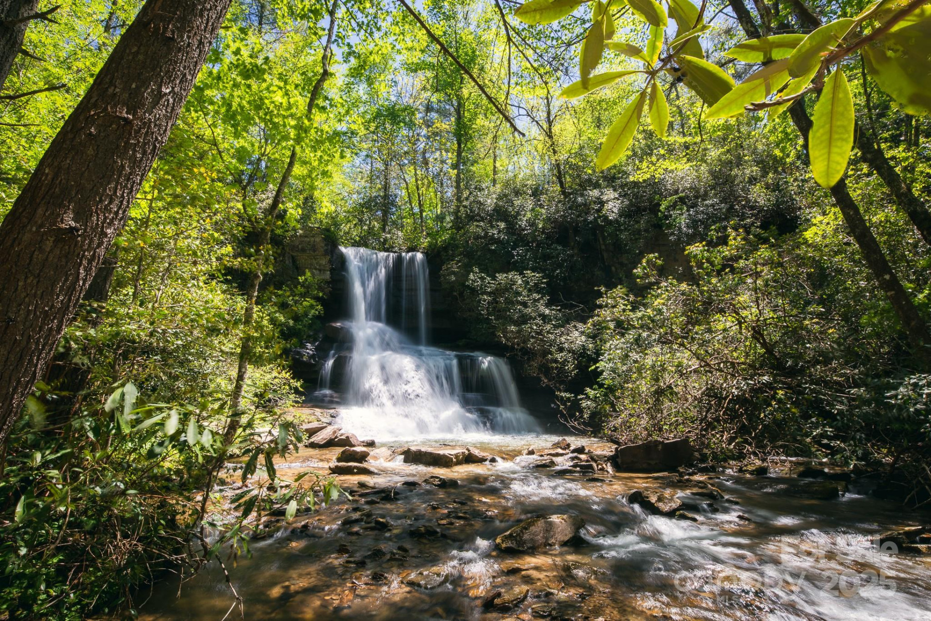 43 Abby Falls Drive #43 - Photo 9