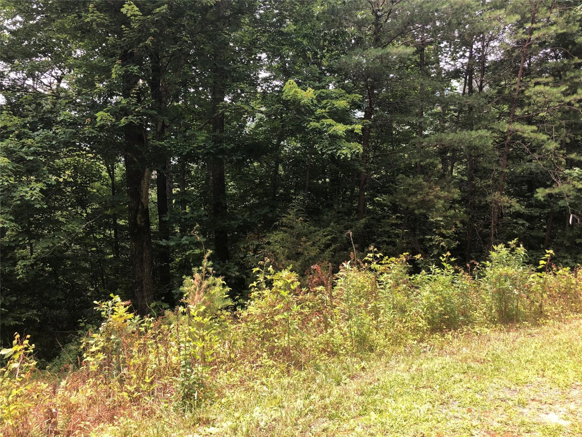 0 Crossings Drive #Lot 5A - Photo 2