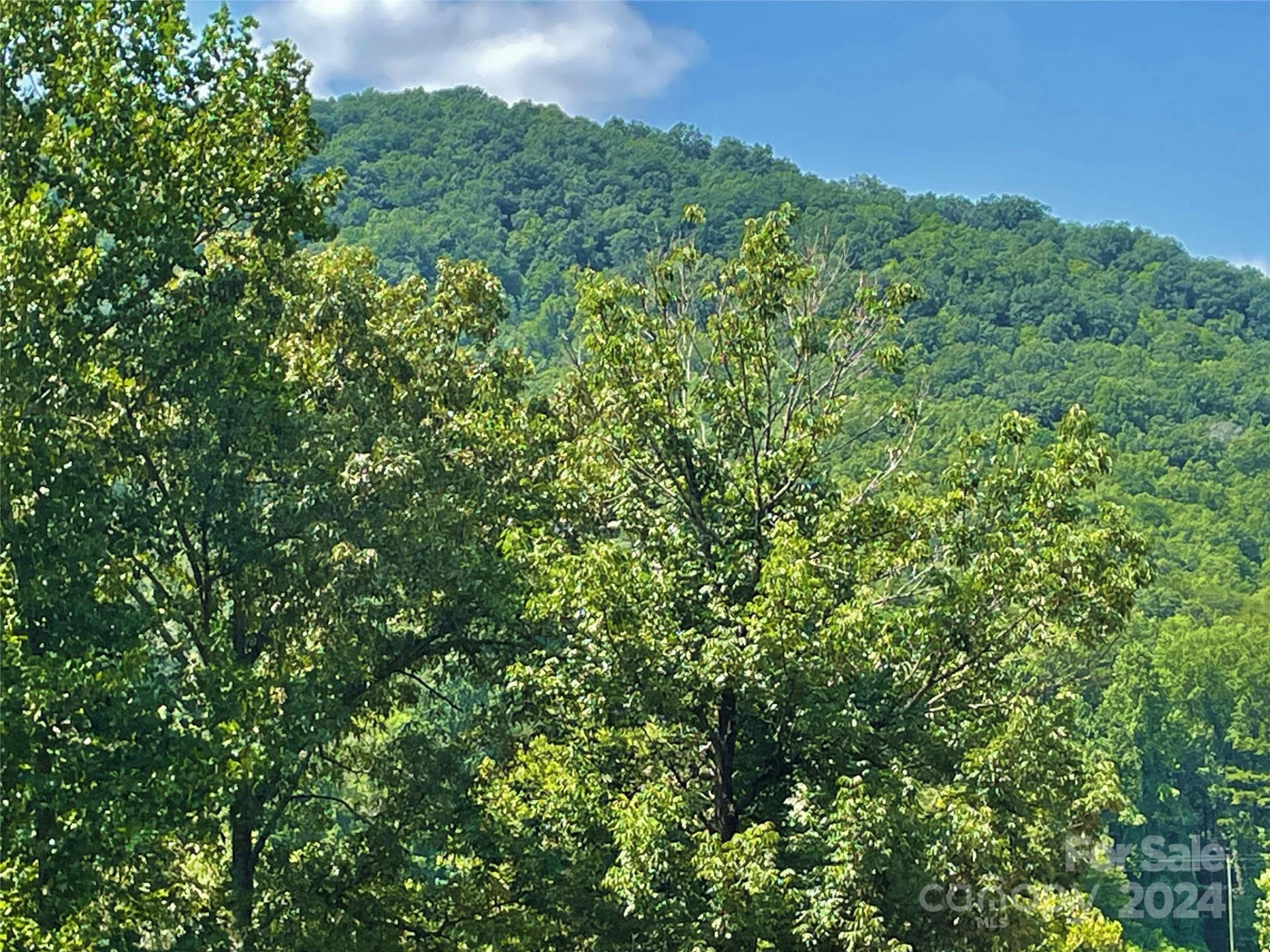 0 Crossings Drive #Lot 5A - Photo 3