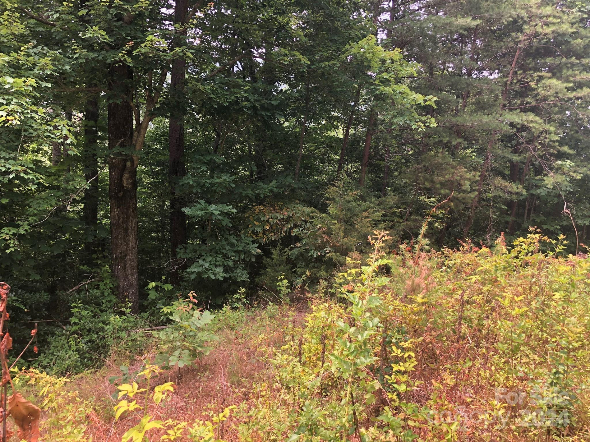 0 Crossings Drive #Lot 5A - Photo 4