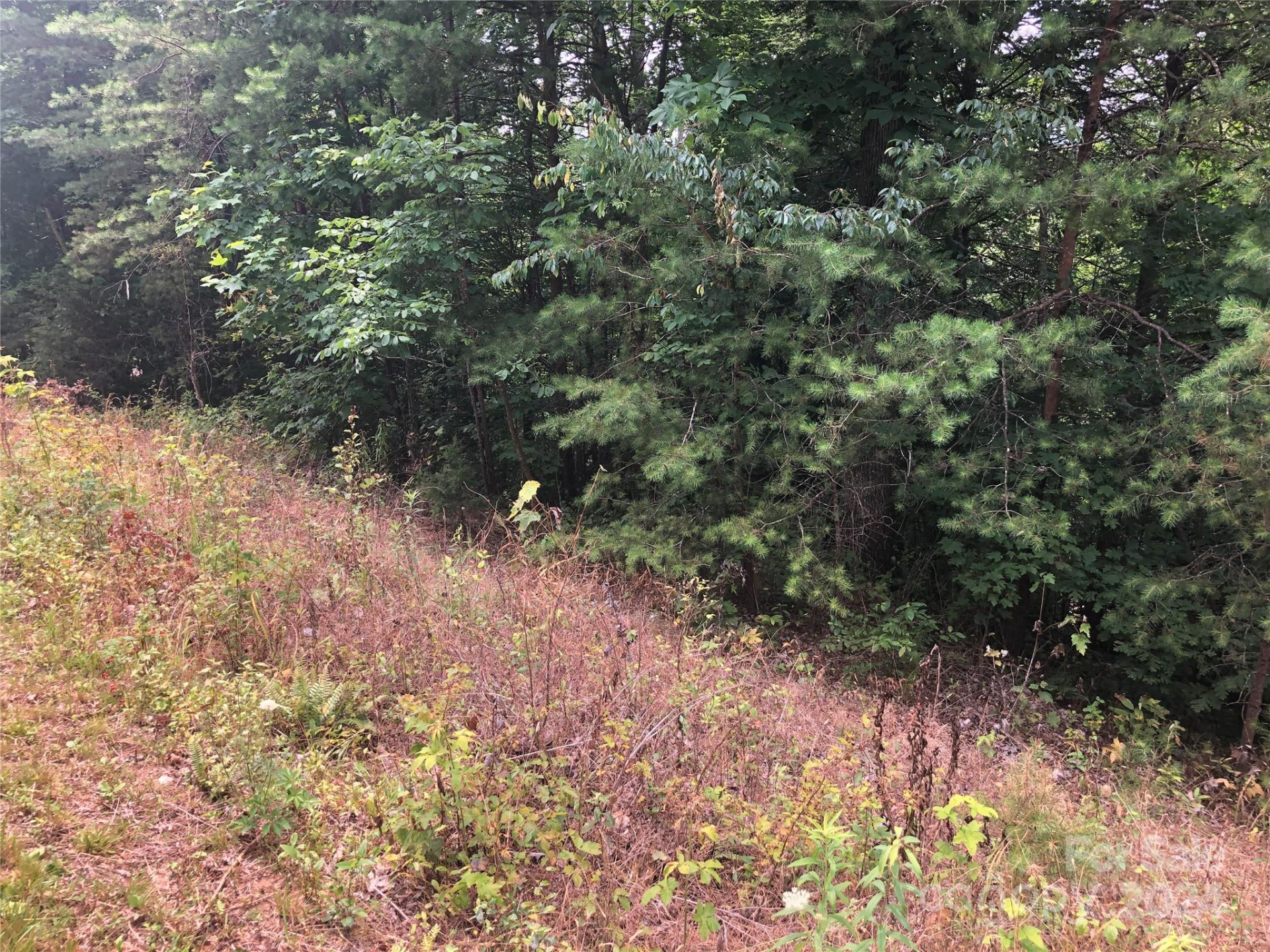 0 Crossings Drive #Lot 5A - Photo 5