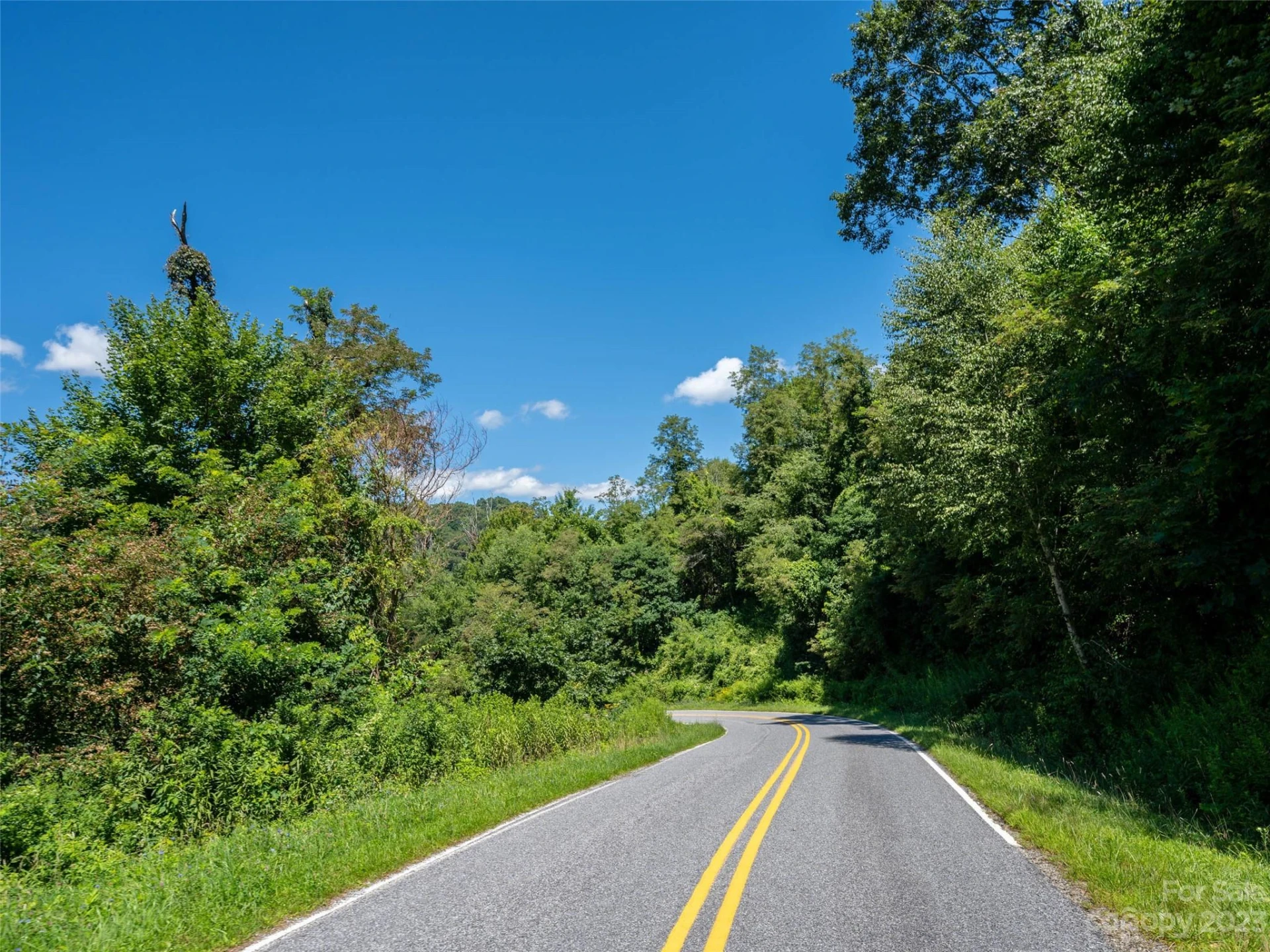 00 Runaway Ridge - Photo 2