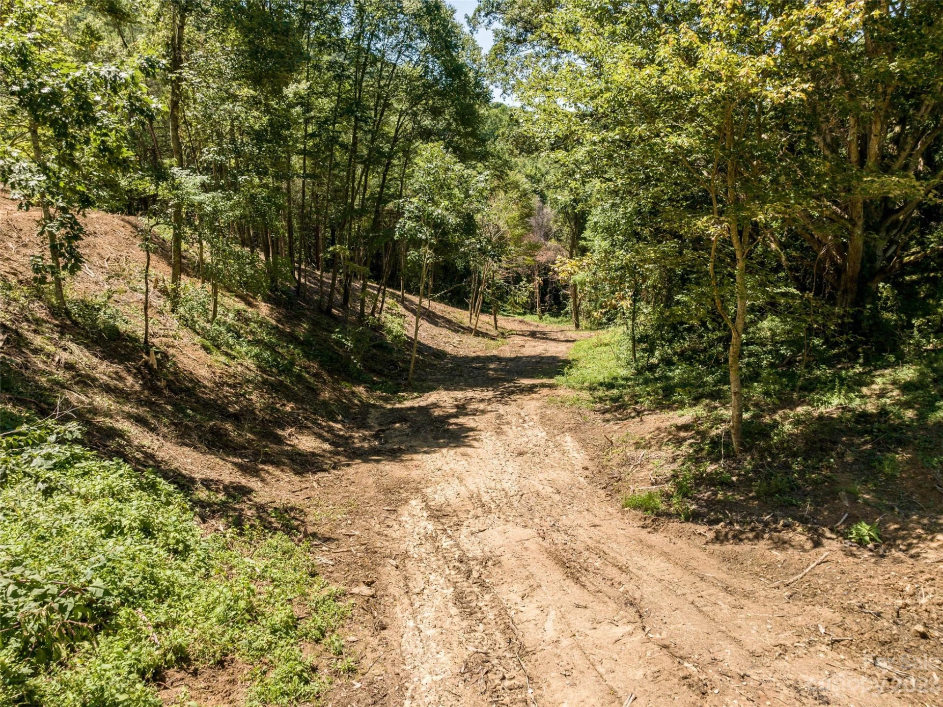 00 Runaway Ridge - Photo 12
