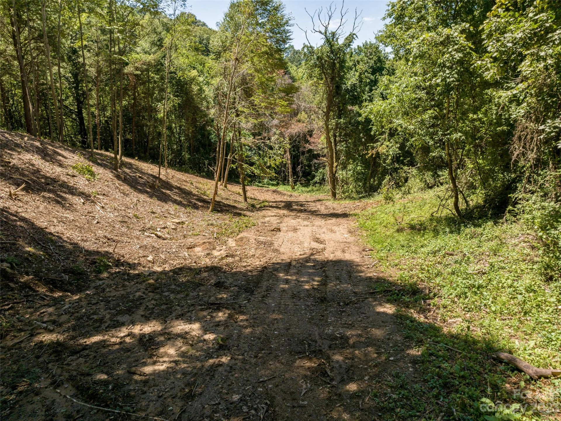 00 Runaway Ridge - Photo 13