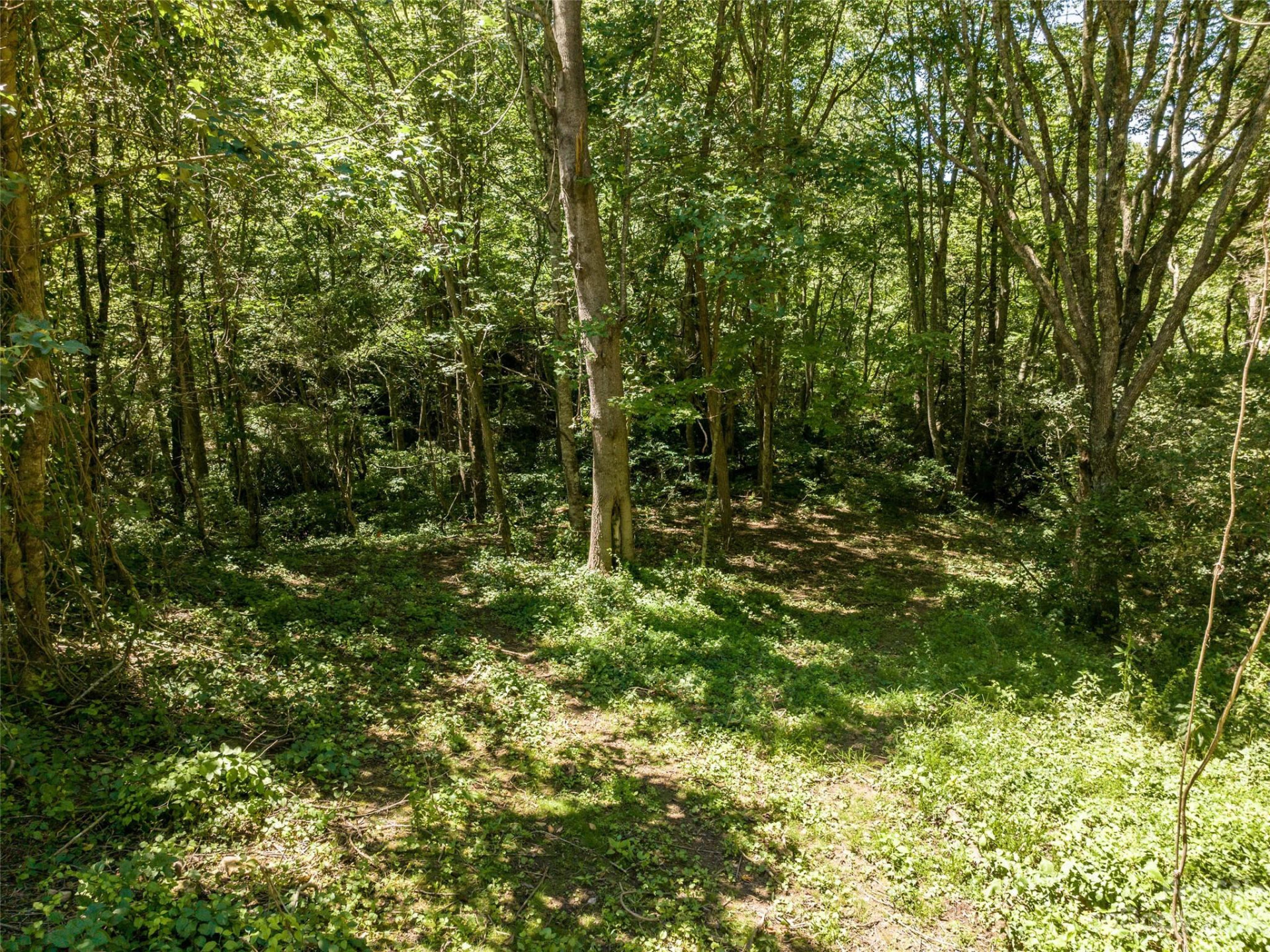 00 Runaway Ridge - Photo 14