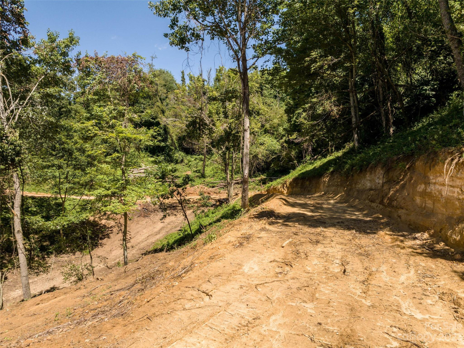 00 Runaway Ridge - Photo 16