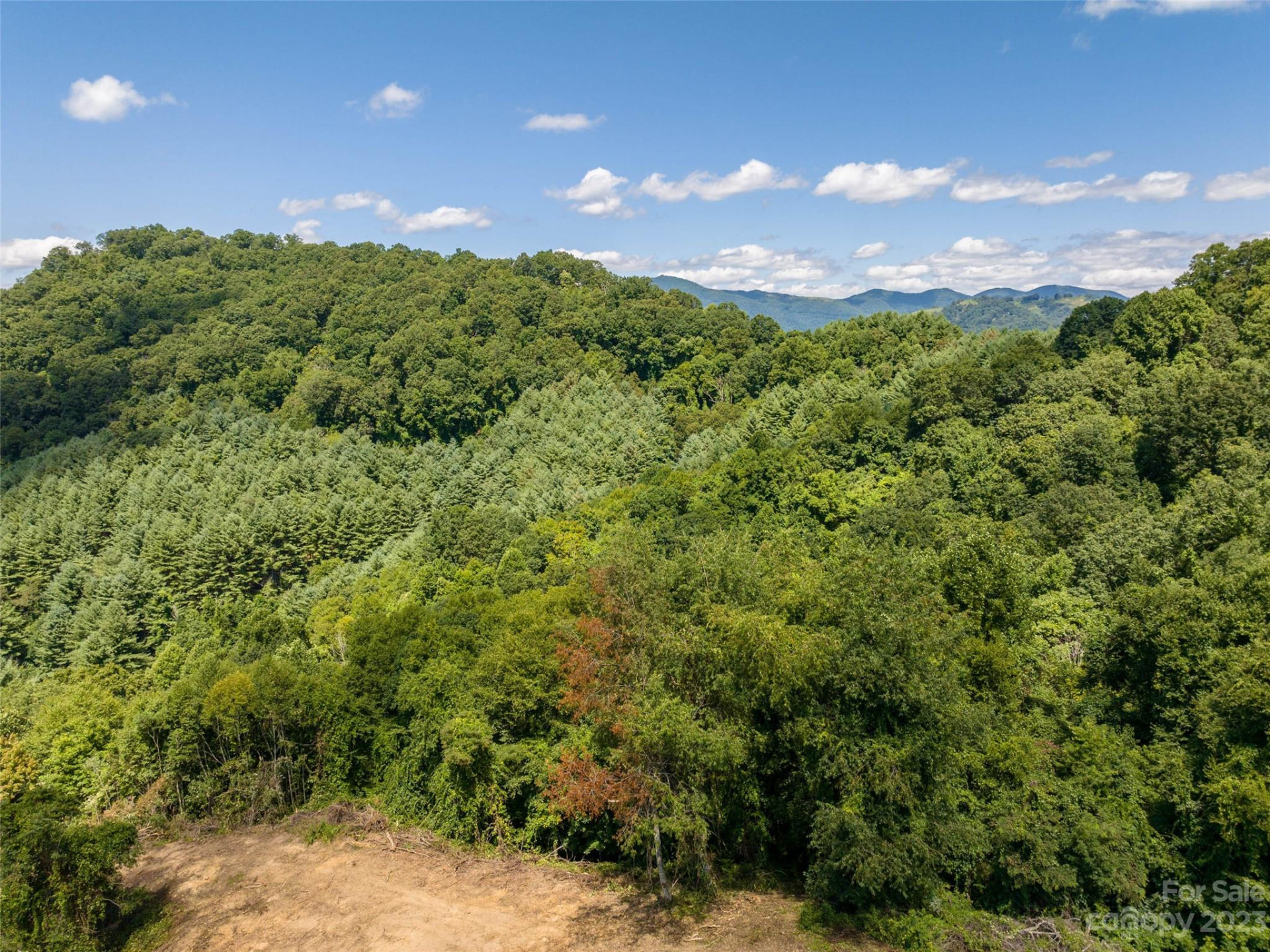 00 Crabtree Mountain Road - Photo 11