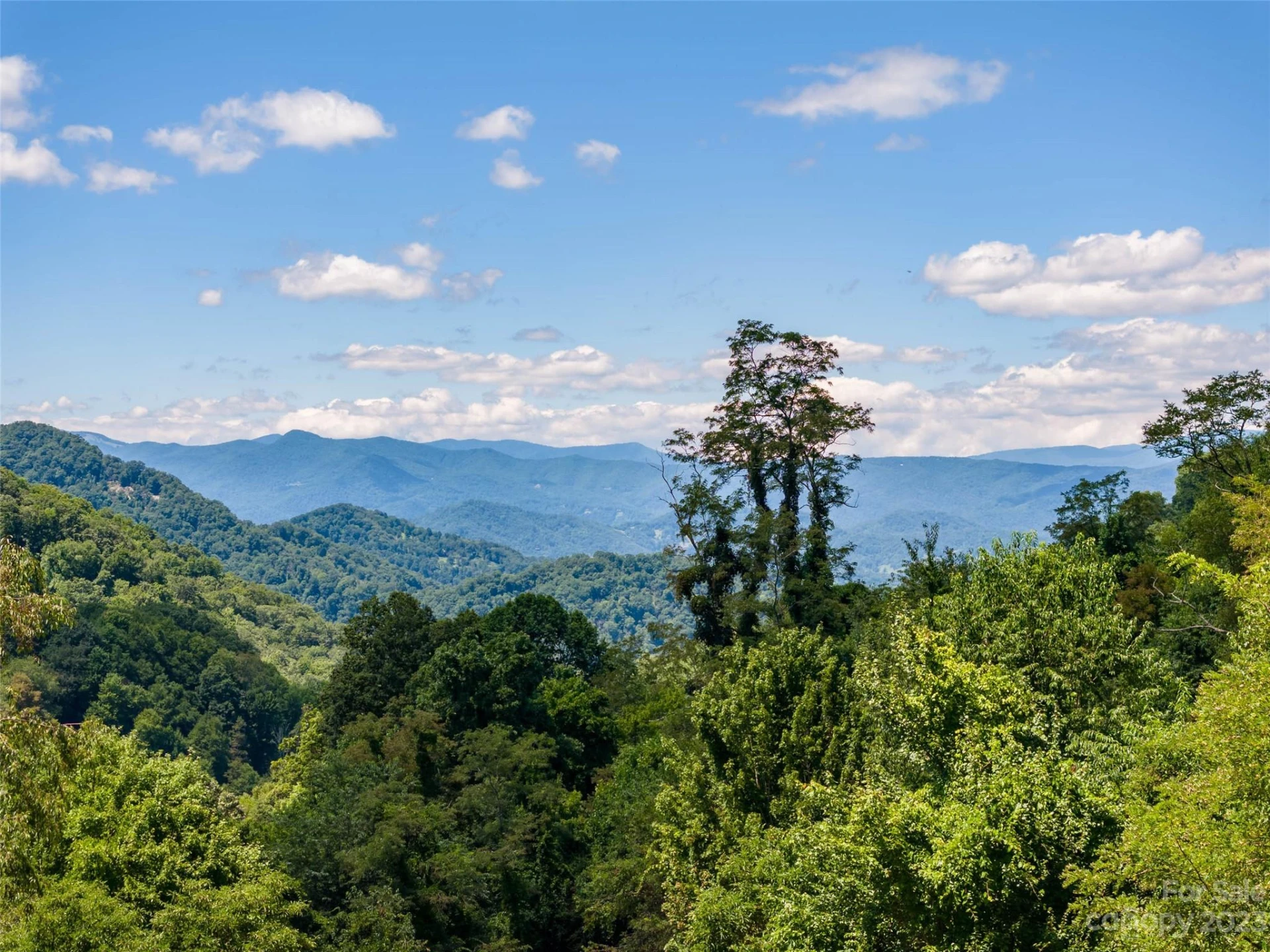 00 Crabtree Mountain Road - Photo 12