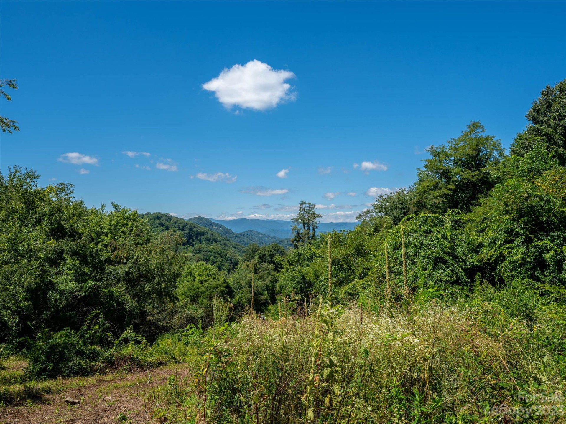 00 Crabtree Mountain Road - Photo 4