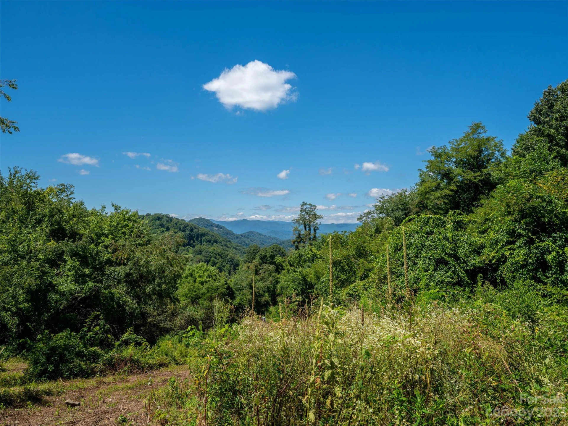00 Crabtree Mountain Road - Photo 4