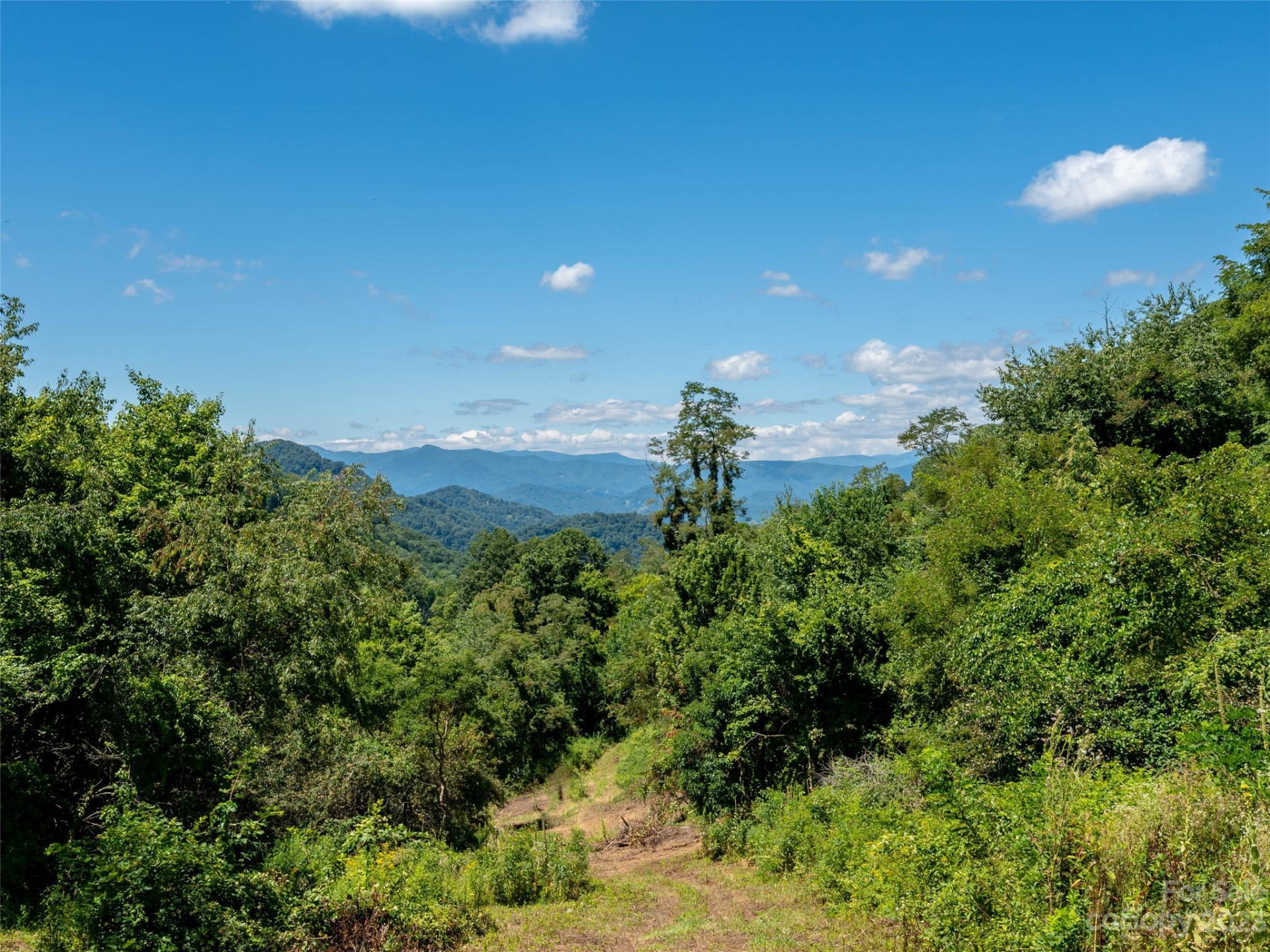 00 Crabtree Mountain Road - Photo 5