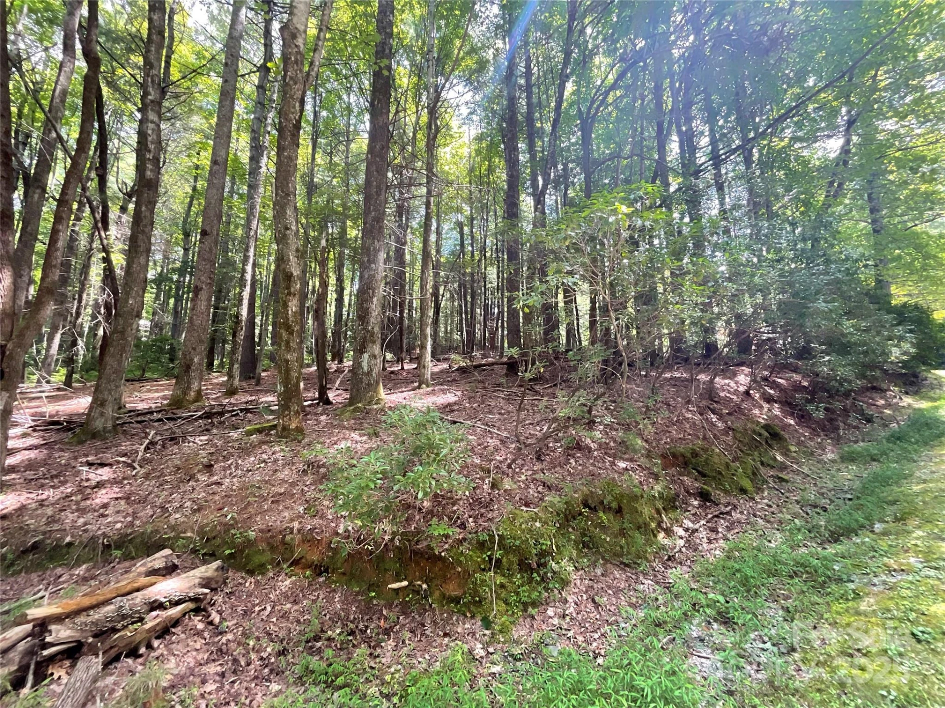 406 Tlvdatsi Drive