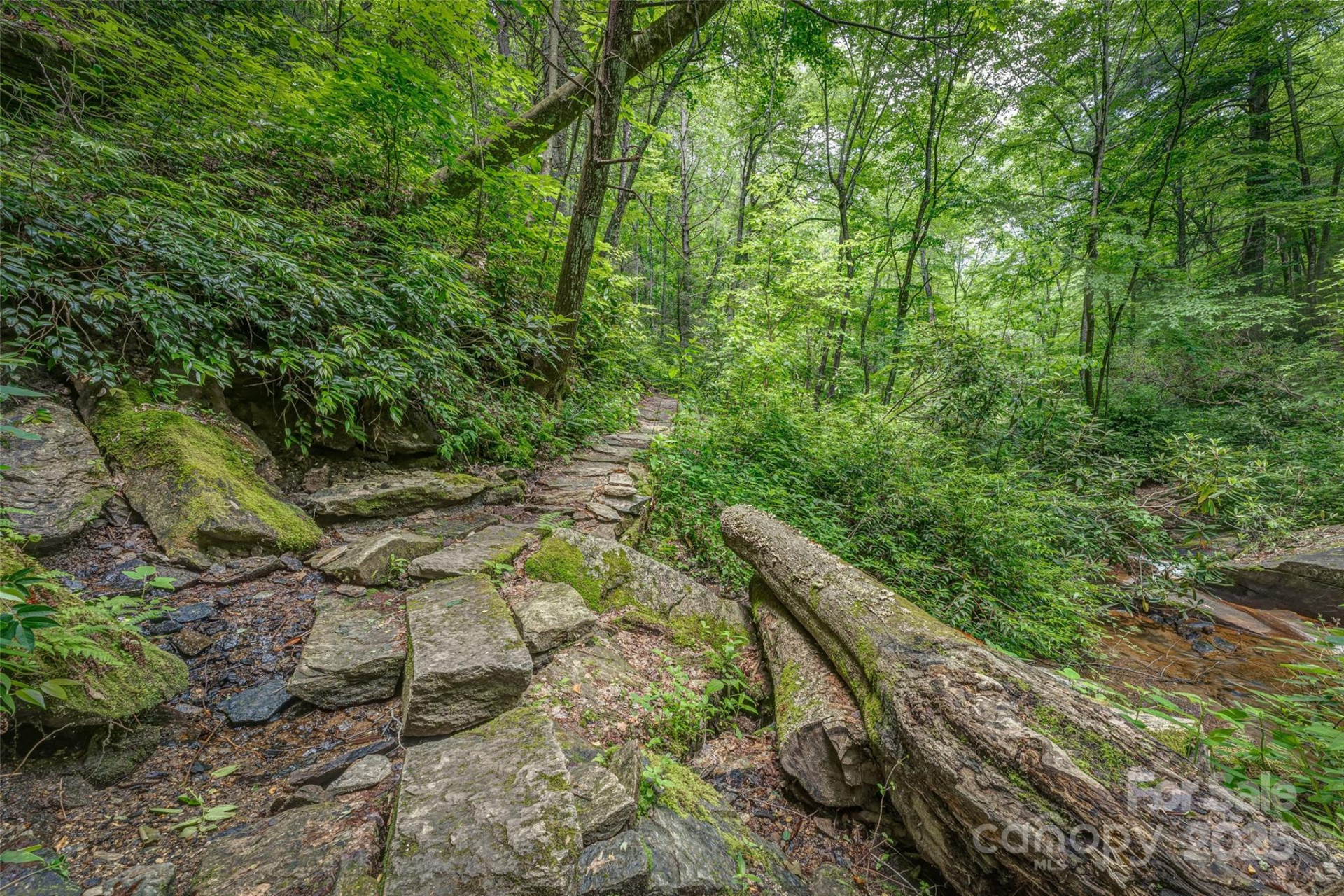 406 Tlvdatsi Drive - Photo 17