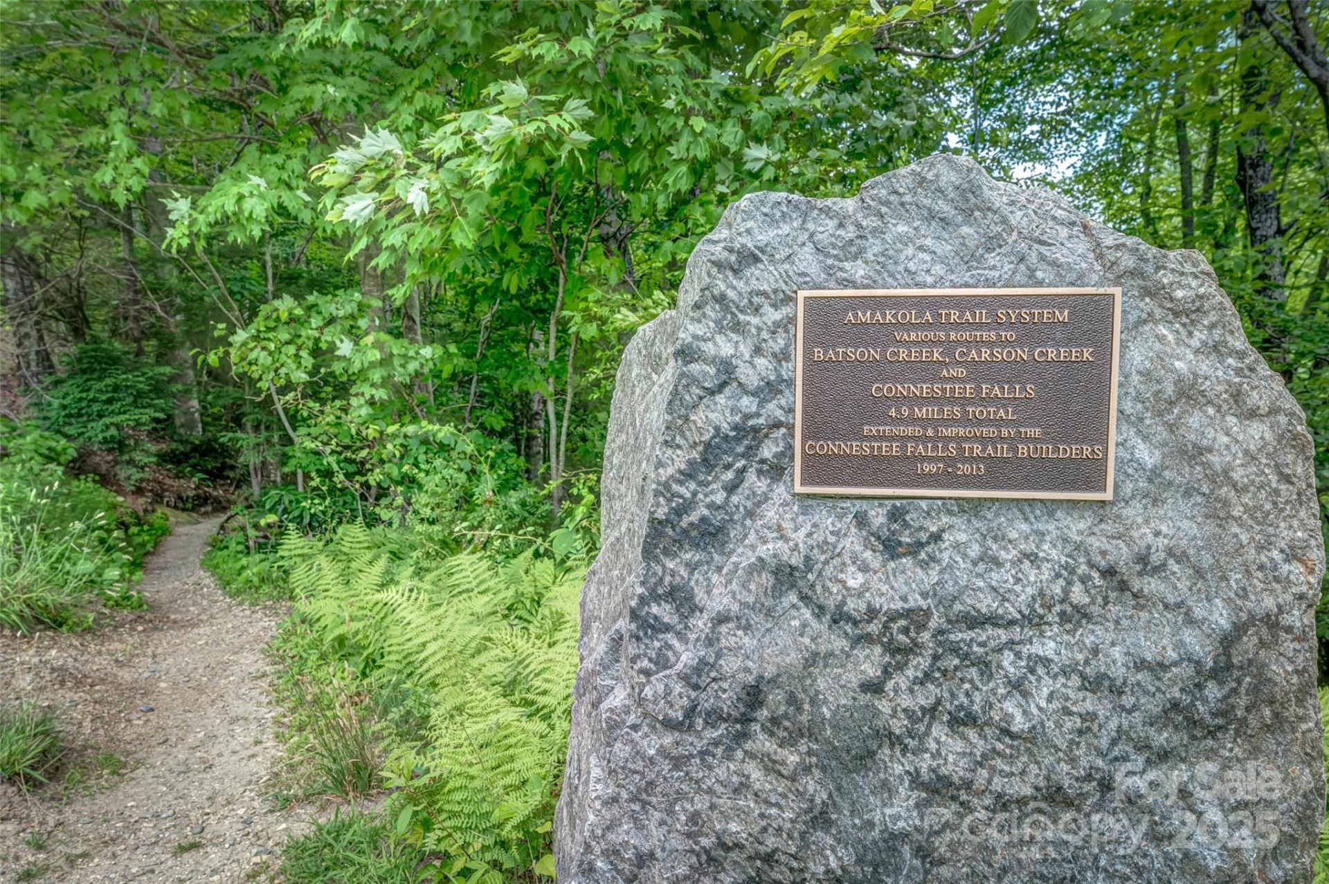 406 Tlvdatsi Drive - Photo 19