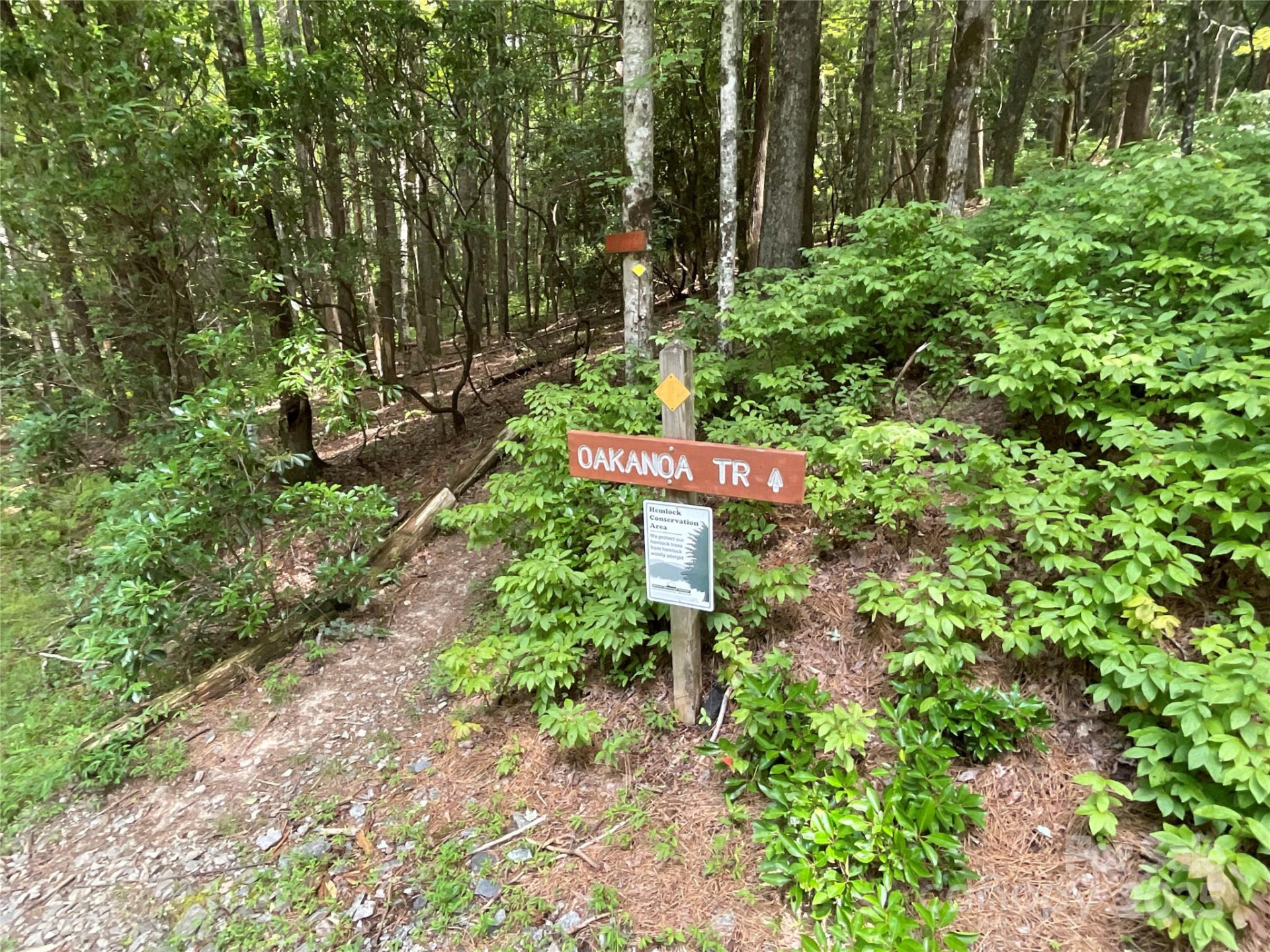 406 Tlvdatsi Drive - Photo 6