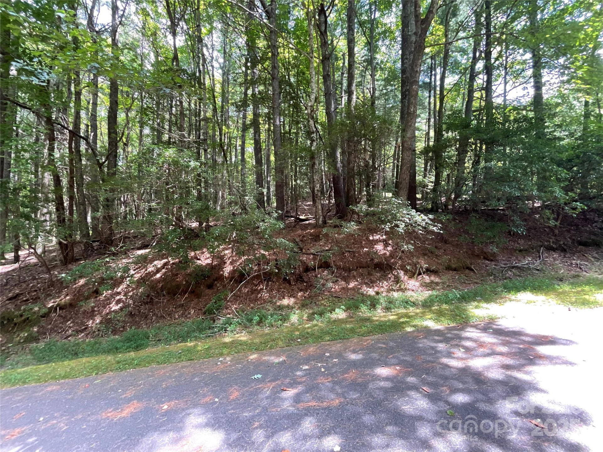 406 Tlvdatsi Drive - Photo 7