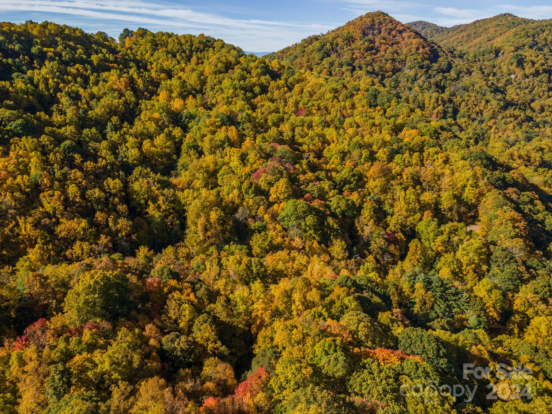 99999 Harwood Road - Photo 2