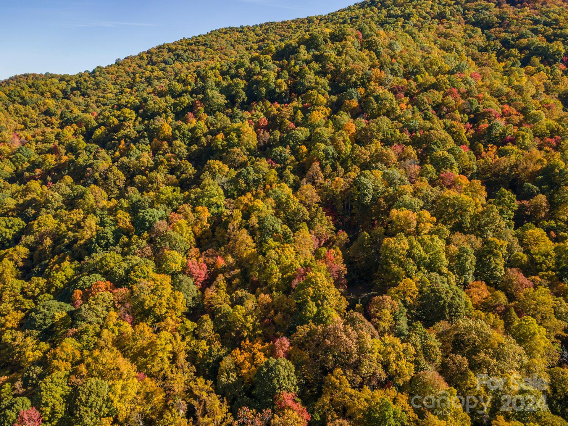 99999 Harwood Road - Photo 17