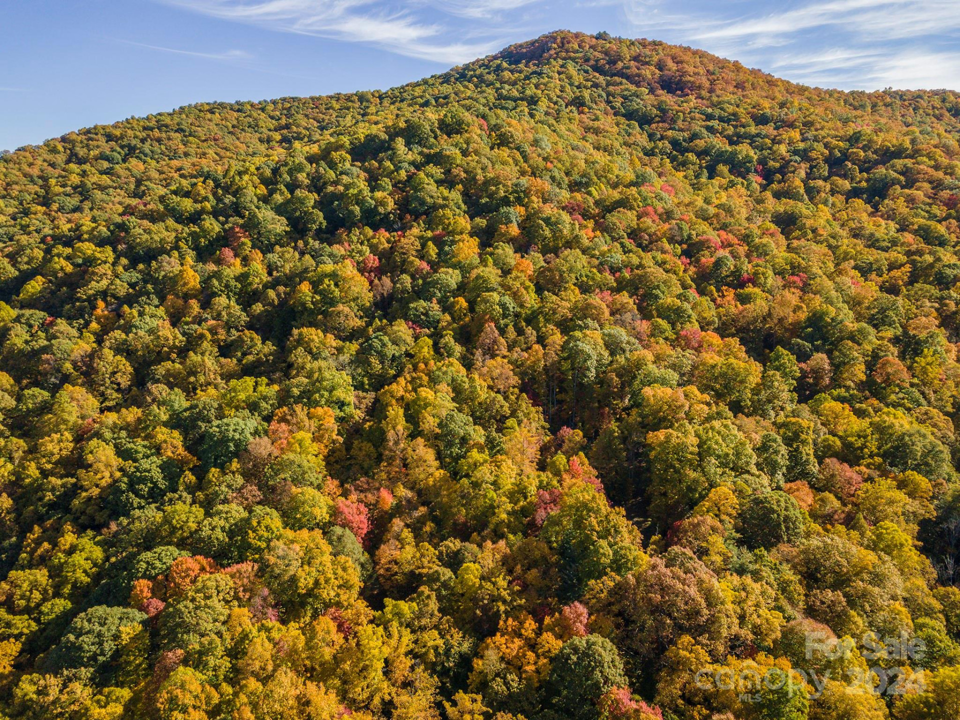 99999 Harwood Road - Photo 18