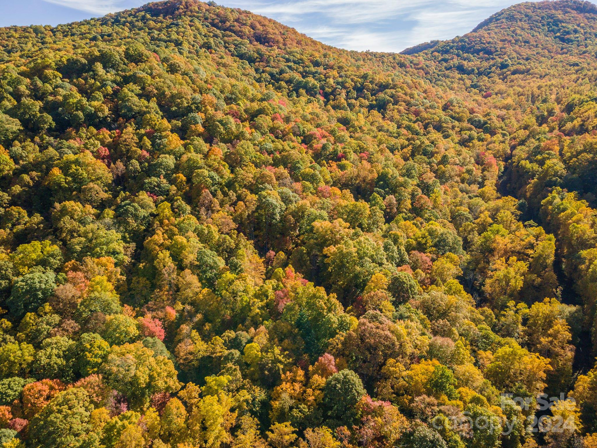 99999 Harwood Road - Photo 19