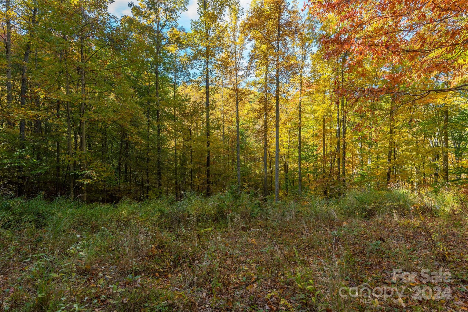 99999 Harwood Road - Photo 6