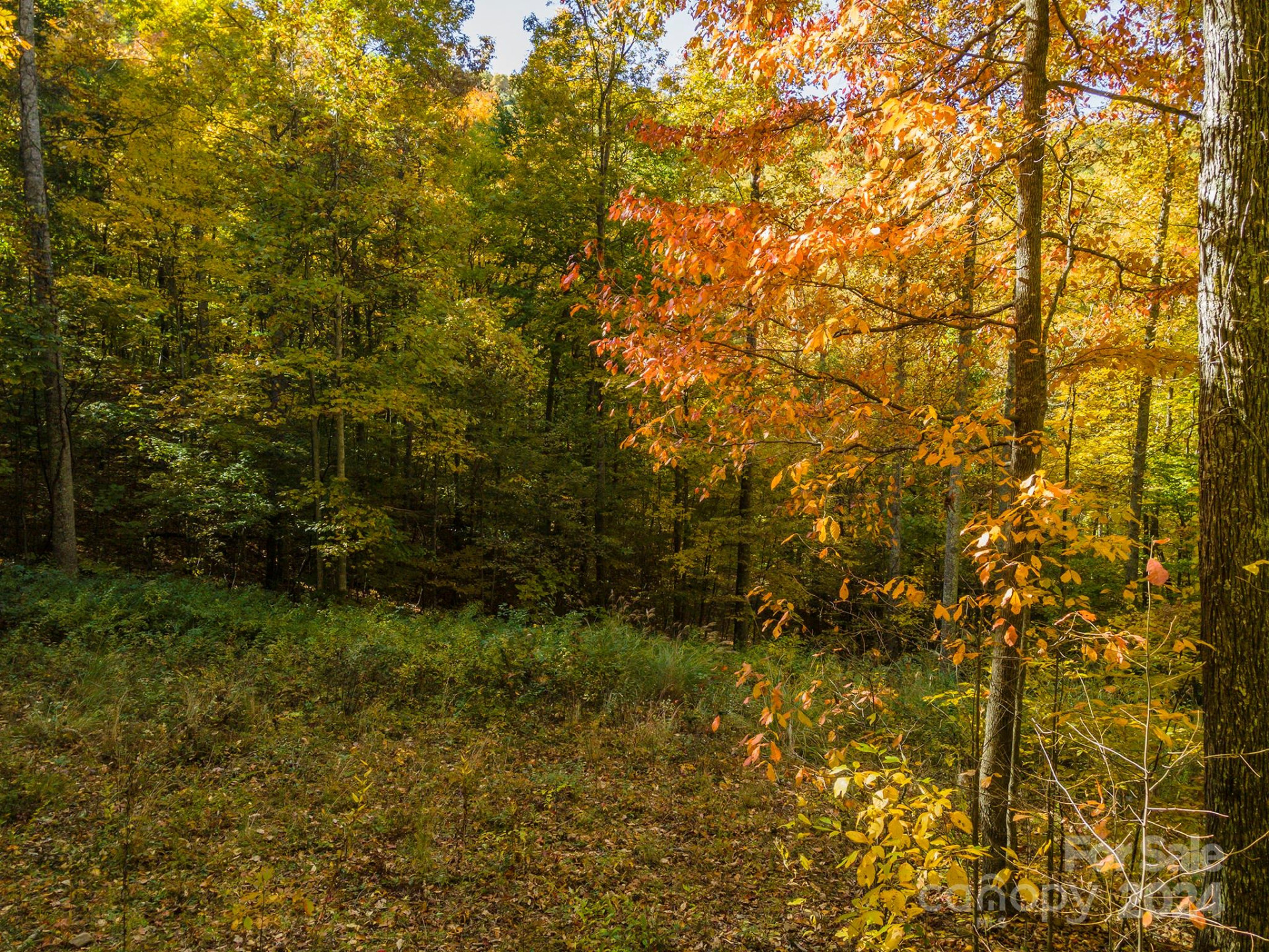 99999 Harwood Road - Photo 7