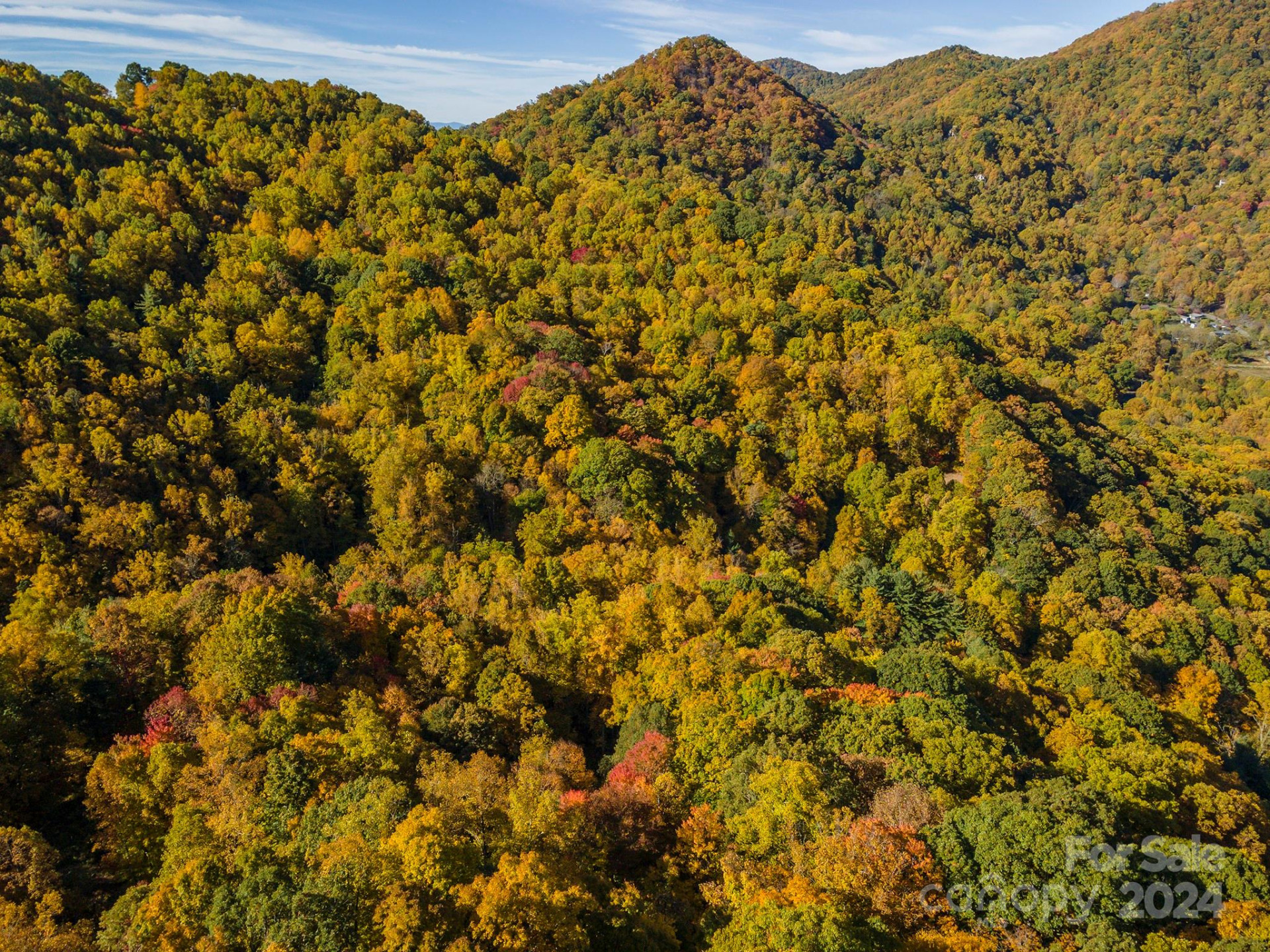 99999 Harwood Road - Photo 8