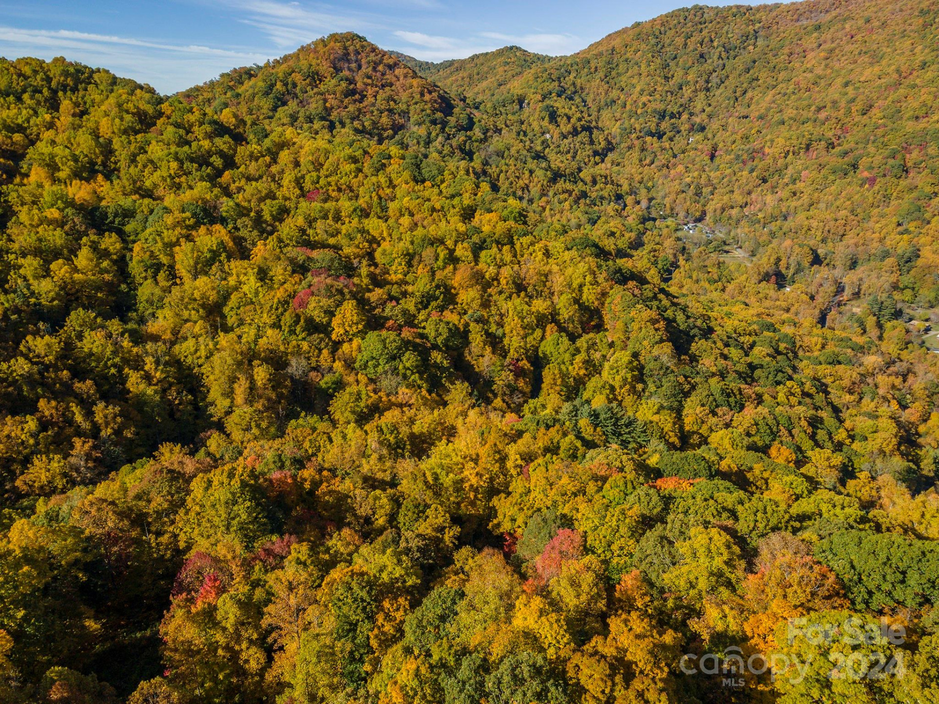 99999 Harwood Road - Photo 9