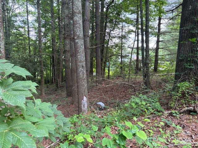 39 Acorn Lane - Photo 3