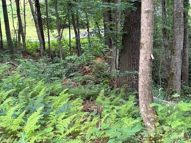 39 Acorn Lane - Photo 4