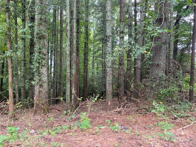 39 Acorn Lane - Photo 5