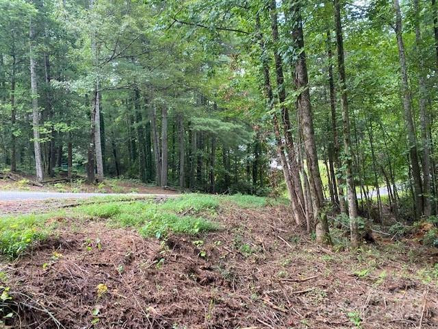 39 Acorn Lane - Photo 6