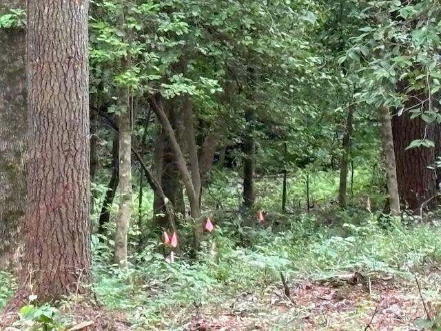 39 Acorn Lane - Photo 7