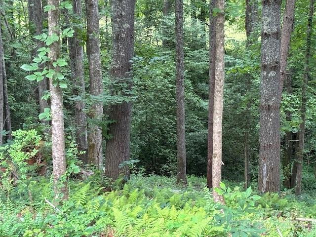 39 Acorn Lane - Photo 8