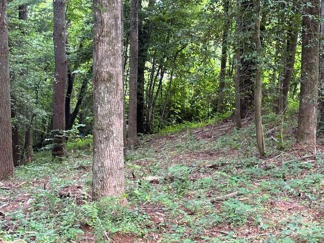 39 Acorn Lane - Photo 9