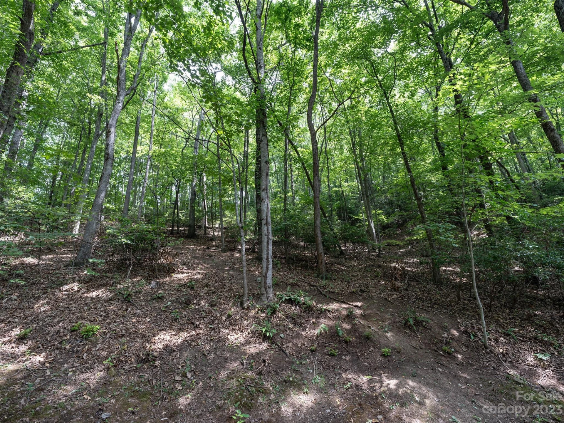 00 Grouse Ridge Road #1 - Photo 3