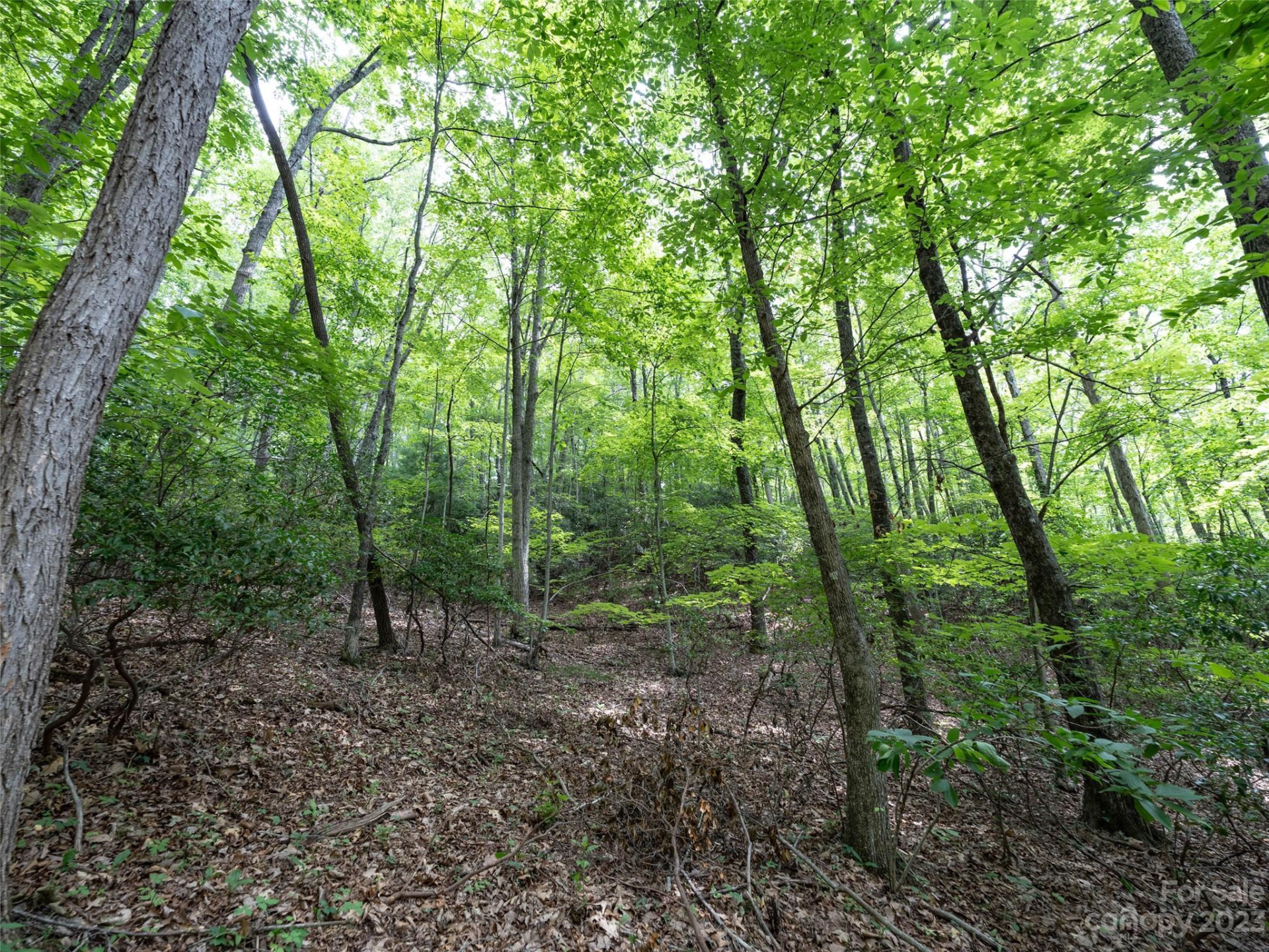 00 Grouse Ridge Road #1 - Photo 4