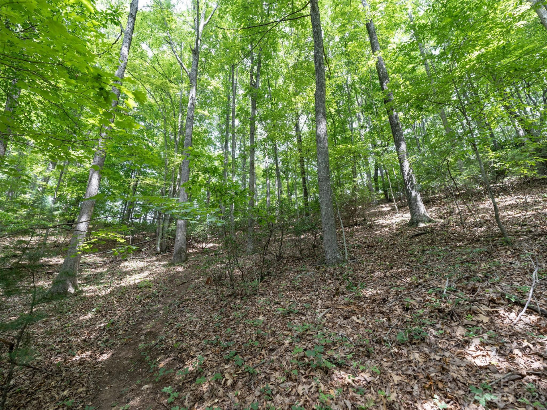 00 Grouse Ridge Road #1 - Photo 5